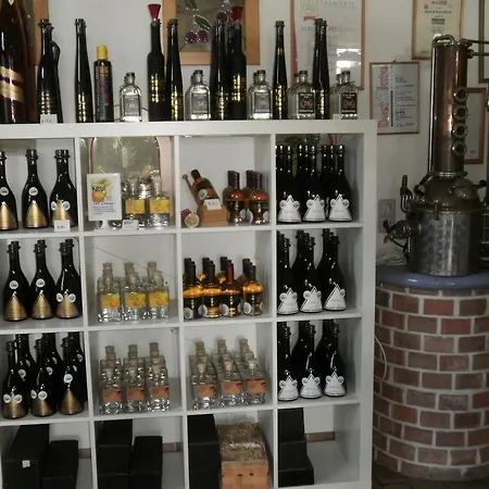 Oda ve Kahvaltı Landhaus Bockl Deutsch-Wagram